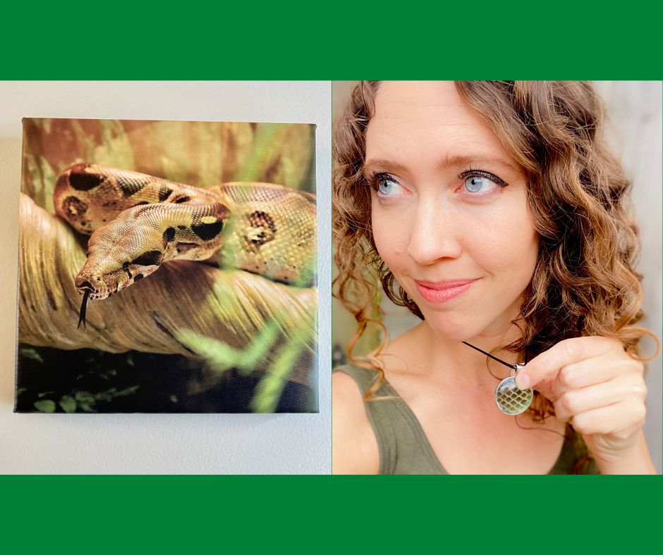 Bindi the Boa Snake Skin Shed Necklace and 8x8 Canvas Print Bundle