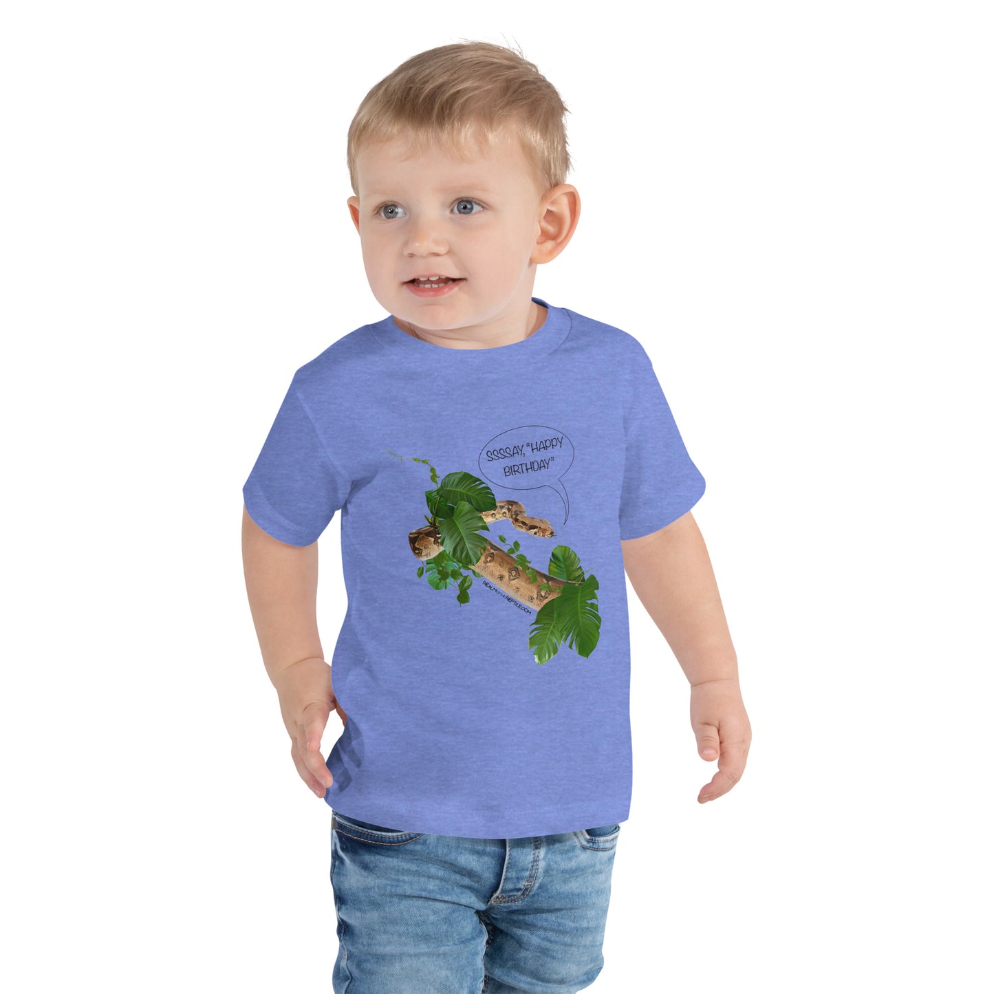 Happy Birthday- Toddler Short Sleeve Tee