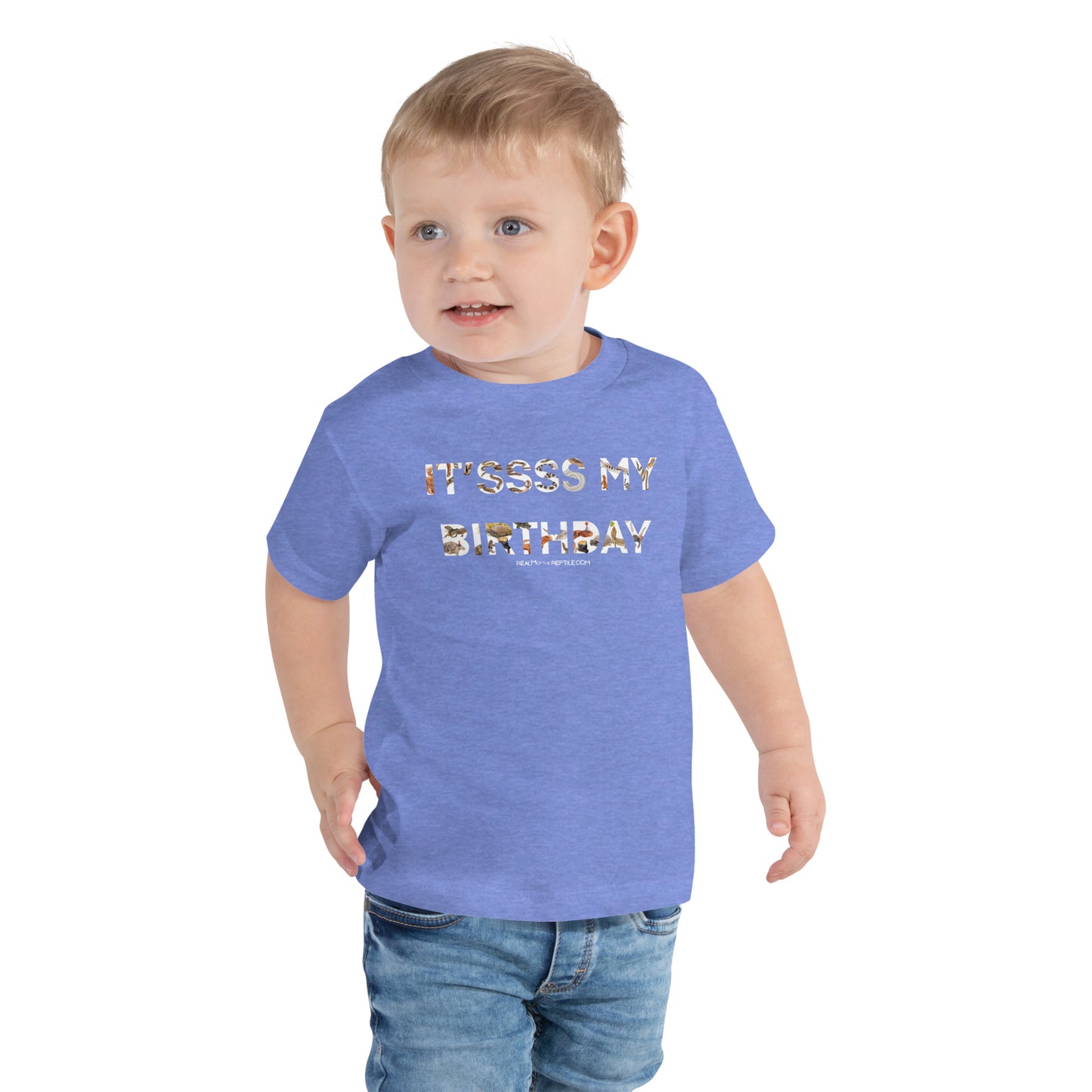 It'sss My Birthday - Toddler Short Sleeve Tee