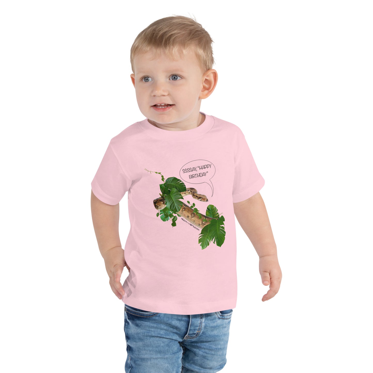 Happy Birthday- Toddler Short Sleeve Tee