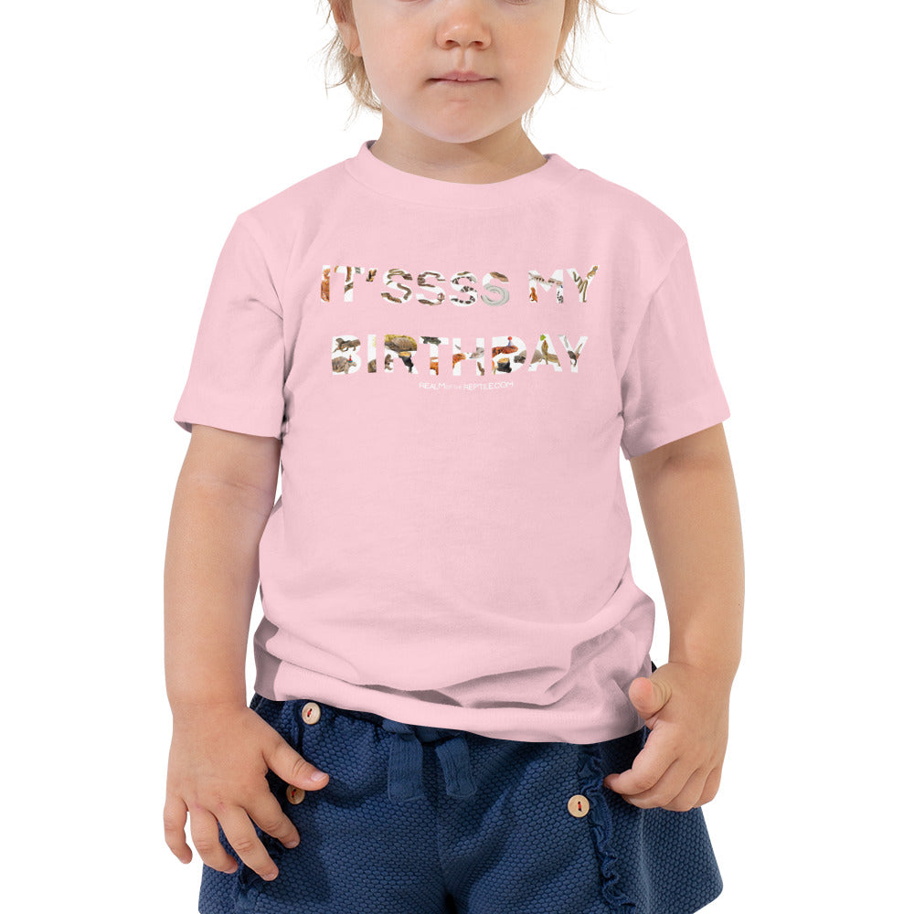 It'sss My Birthday - Toddler Short Sleeve Tee