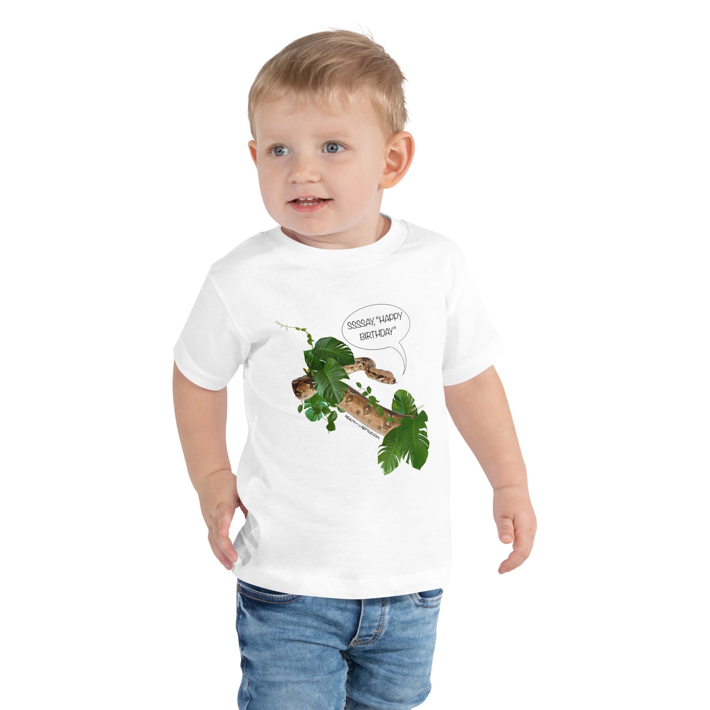 Happy Birthday- Toddler Short Sleeve Tee