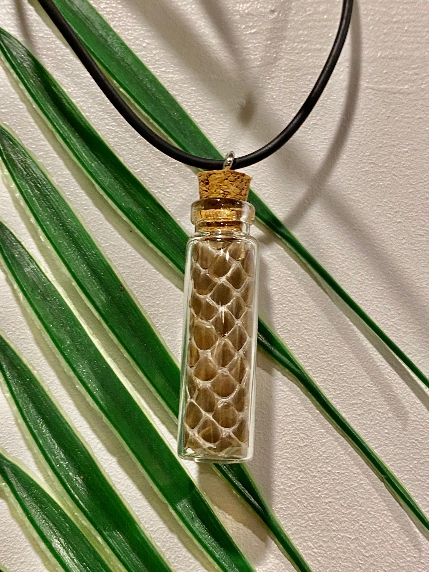 Snake Skin Shed Bottle Necklace Party Favor Packs