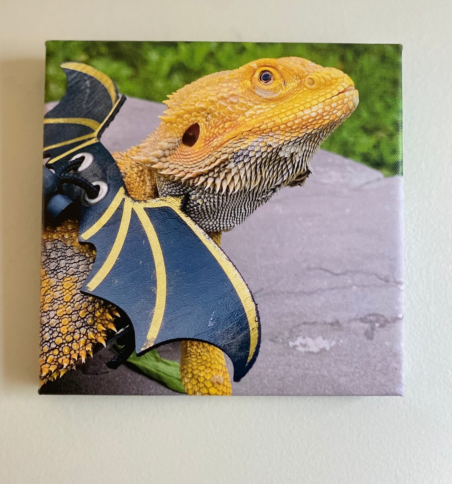 8x8 Reptile Canvas Prints