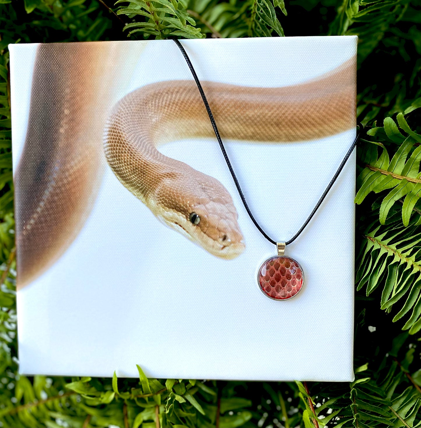 Olivia the Olive Python Snake Skin Shed Necklace and 8x8 Canvas Print Bundle