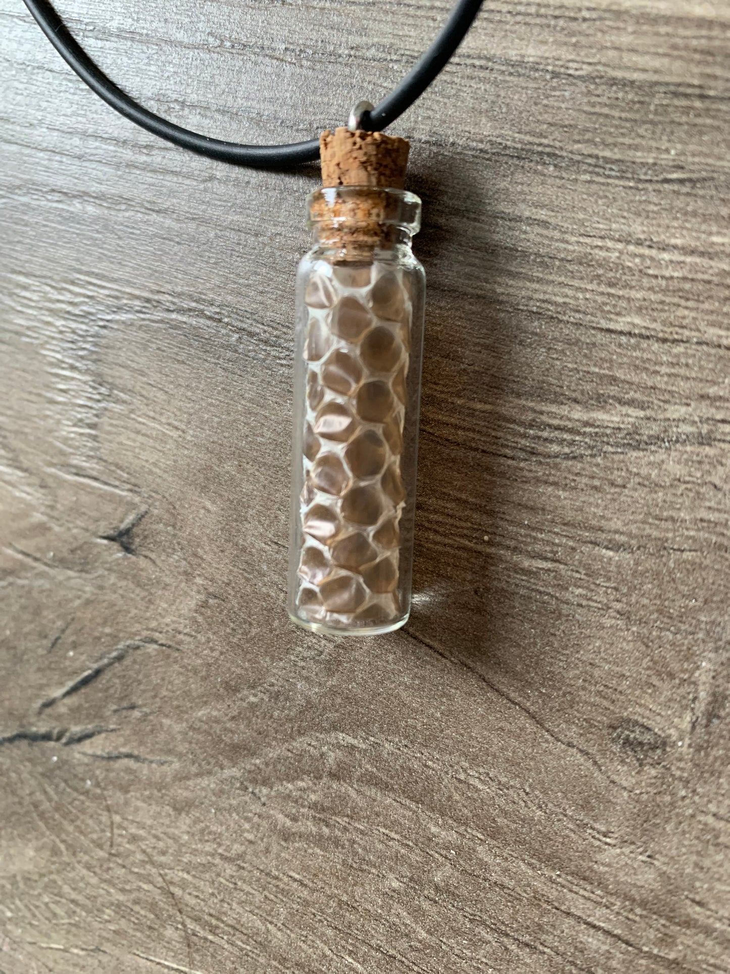 Snake Skin Shed Bottle Necklace Party Favor Packs